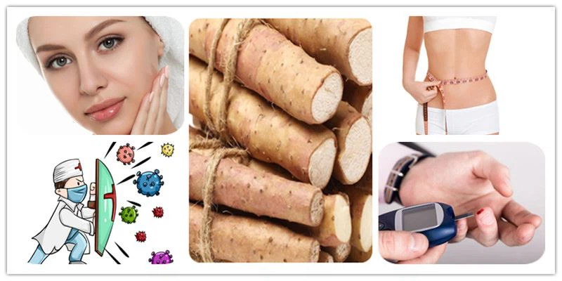 The efficacy of wild yam powder The efficacy of wild yam powder