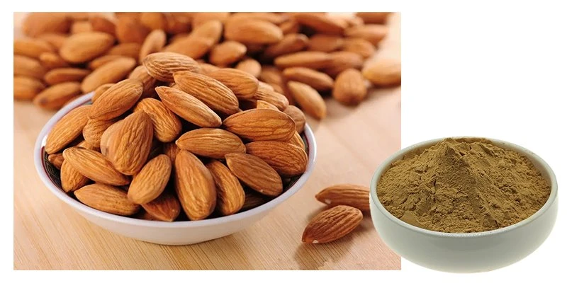 Bitter Apricot Seed Bitter Apricot Seed